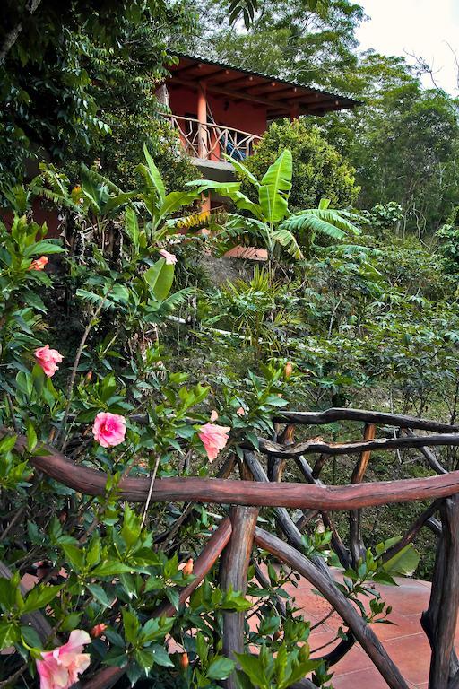 Hotel Casa Madre Tierra Vilcabamba Exterior foto